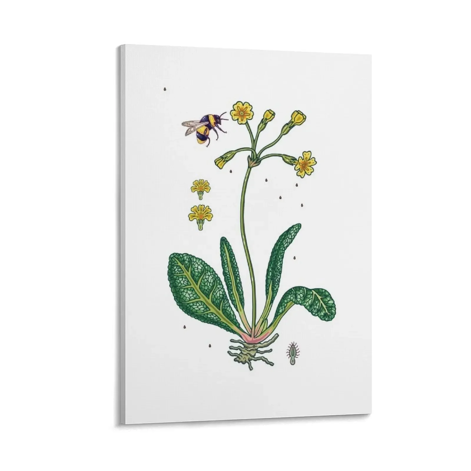 yellow cowslip and bee Canvas Painting painting room decorations aesthetic Decoration for bedroom
yellow cowslip and bee Canvas Painting painting room decorations aesthetic Decoration for bedroom
