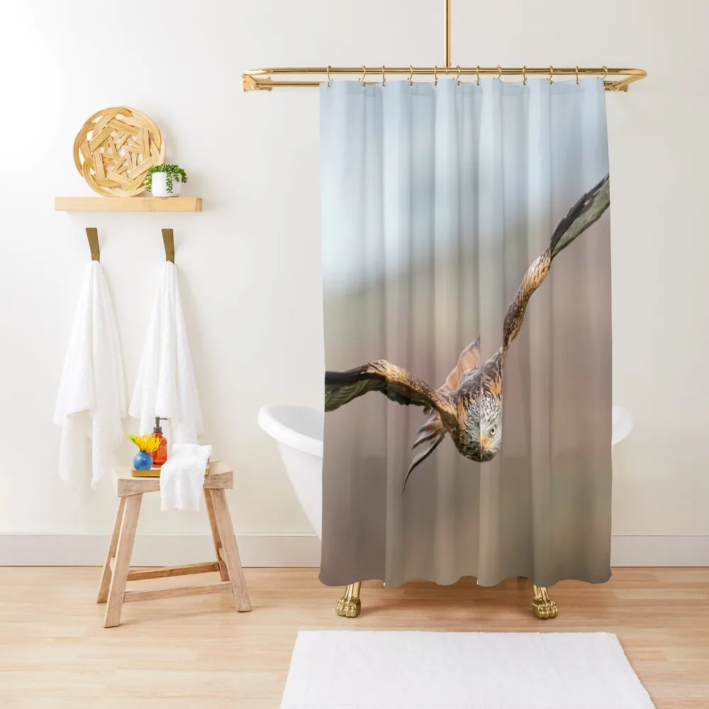 Red Kite in Flight Shower Curtain For Bathrooms With Beautiful Designs Window Shower For Bathrooms For Bathrooms Curtain
Red Kite in Flight Shower Curtain For Bathrooms With Beautiful Designs Window Shower For Bathrooms For Bathrooms Curtain