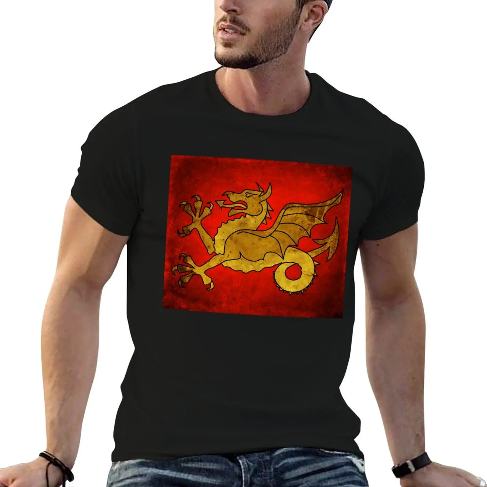 Wyvern Wessex T-Shirt funny gifts anime figures sublime mens t shirts top quality
Wyvern Wessex T-Shirt funny gifts anime figures sublime mens t shirts top quality