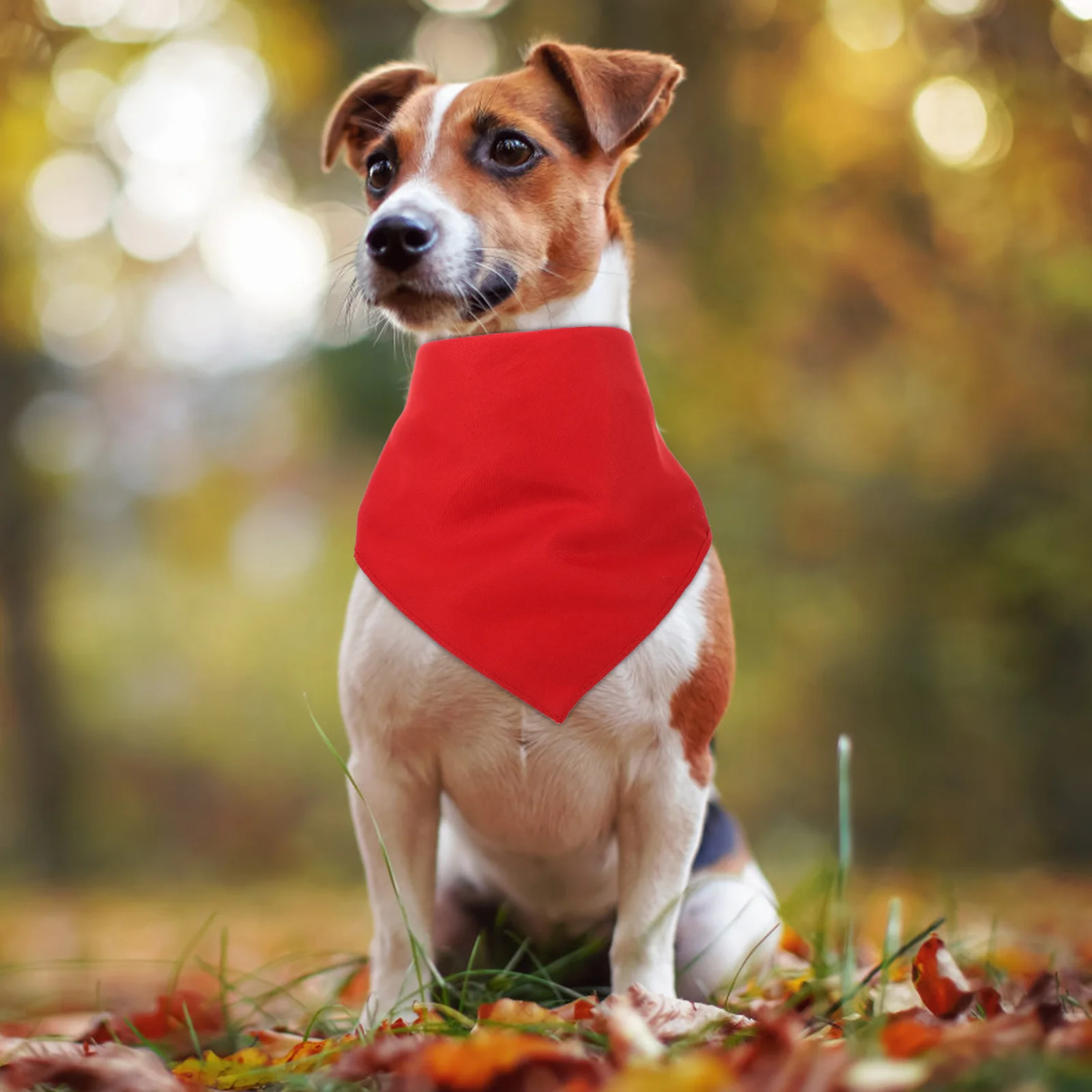4 Pcs Dog Bandana Scarf Large Solid Color Personalized Gifts Breathable Polyester Puppy Collars Triangle Photo Prop
4 Pcs Dog Bandana Scarf Large Solid Color Personalized Gifts Breathable Polyester Puppy Collars Triangle Photo Prop
