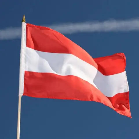 5 Pcs/lot Austria National Flag 90x150cm Austria Flag The Republic of Austria National Flag wholesale