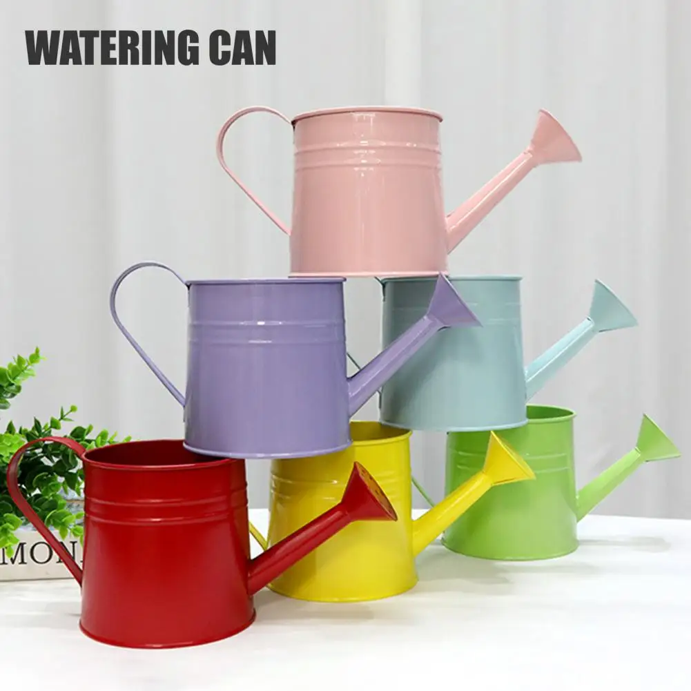 Эргономичная металлическая бутылка для полива с удобной ручкой, длинным носиком и насадкой-распылителем для точного полива растений в саду и дома, для использования в помещении и на улице
Эргономичная металлическая бутылка для полива с удобной ручкой, длинным носиком и насадкой-распылителем для точного полива растений в саду и дома, для использования в помещении и на улице