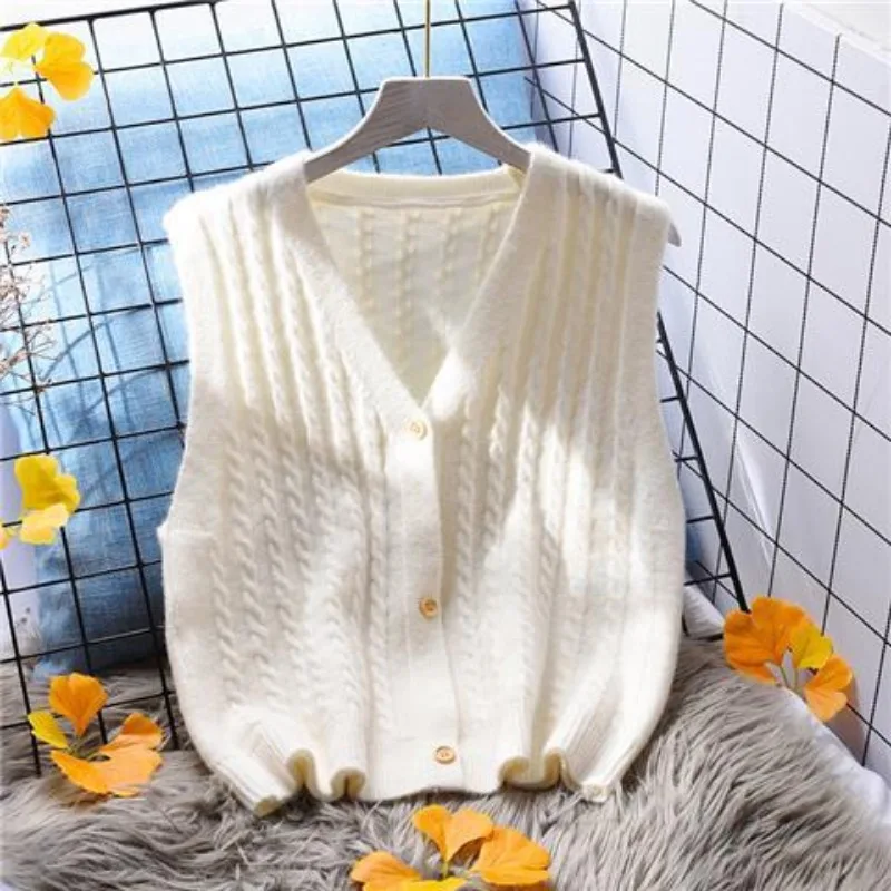 Knitted Tank Women Vest Loose Outwear Sweater 2023 Spring and Autumn Women Sweater Coat Solid Sleeveless Vest Cardigan Female
Knitted Tank Women Vest Loose Outwear Sweater 2023 Spring and Autumn Women Sweater Coat Solid Sleeveless Vest Cardigan Female