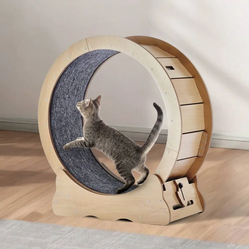 Large Cat Treadmill Wheel For Indoor Cats, 35.8 Inch Cat Running Wheel With Detachable Carpet And Cat Teaser
Large Cat Treadmill Wheel For Indoor Cats, 35.8 Inch Cat Running Wheel With Detachable Carpet And Cat Teaser