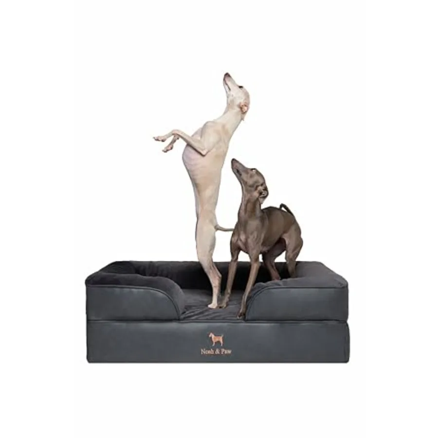 Dog Bed 35x25x11 Inch Orthopedic Dog Beds Eggshell Memory Foam Infused with Cooling Gel Inner Cover Waterproof Machine Washable
Dog Bed 35x25x11 Inch Orthopedic Dog Beds Eggshell Memory Foam Infused with Cooling Gel Inner Cover Waterproof Machine Washable