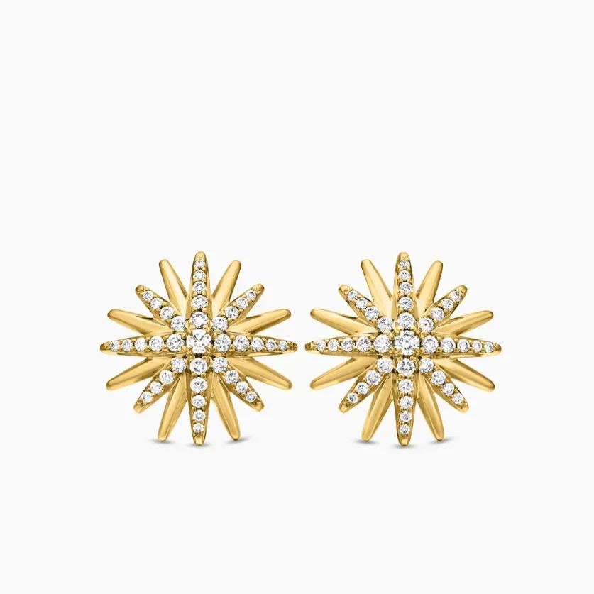 High quality fashion classic selling 2025 Dy Simple earrings all styles collection
High quality fashion classic selling 2025 Dy Simple earrings all styles collection