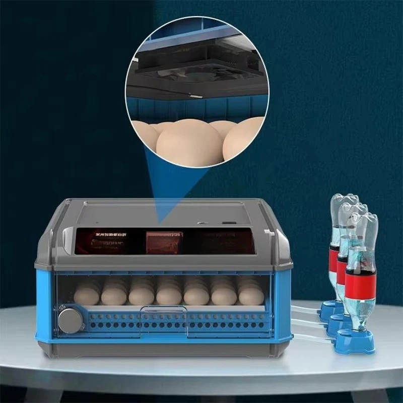 Egg Solar Incubators Egg Incubators Farm 100 Eggs Incubator for Farm
Egg Solar Incubators Egg Incubators Farm 100 Eggs Incubator for Farm
