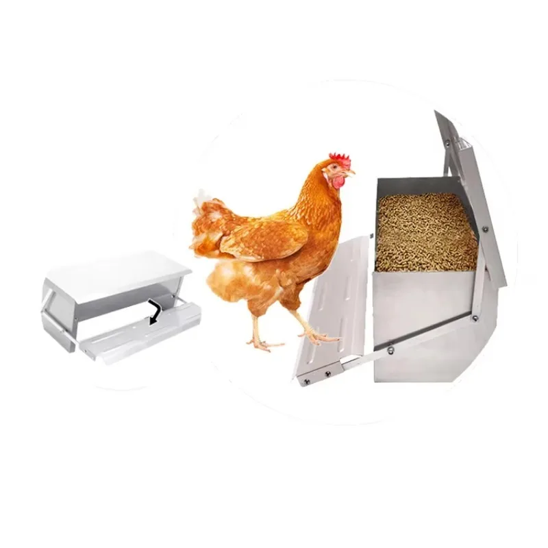 Hot Sale Dustproof Rainproof Treadle Automatic Chicken Feeder Galvanized Steel Outdoor Poultry Foot Pedal Auto Feeder for Farm
Hot Sale Dustproof Rainproof Treadle Automatic Chicken Feeder Galvanized Steel Outdoor Poultry Foot Pedal Auto Feeder for Farm