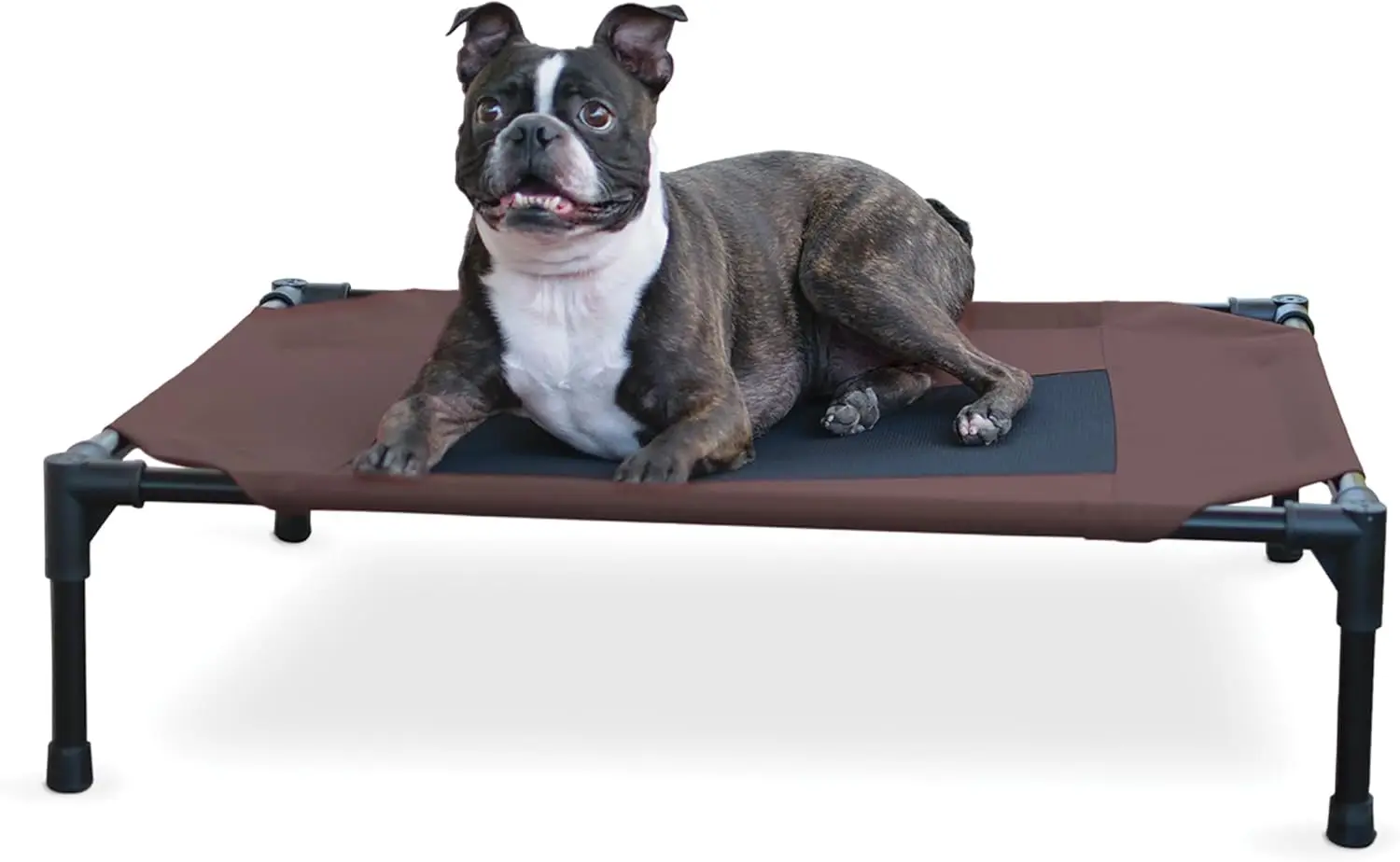 Elevated Pet Cot with Cooling Mesh & Durable Frame, Medium 32x25x7 inches, Supports Up to 40 lbs
Elevated Pet Cot with Cooling Mesh & Durable Frame, Medium 32x25x7 inches, Supports Up to 40 lbs