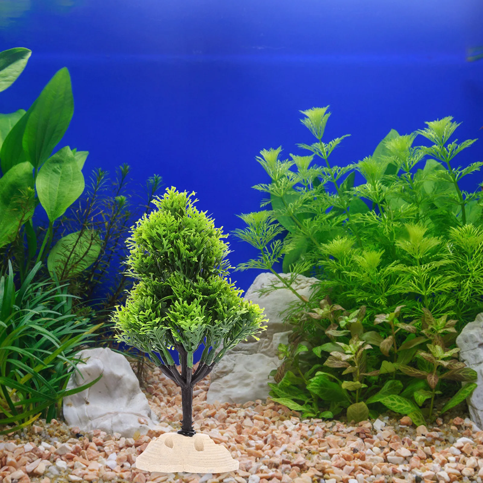 1Pcs Christmas Tree Aquarium Tank Landscaping Fake Water Plants Decor Lifelike Aquarium Landscape Ornament Fish Tank Decor 
1Pcs Christmas Tree Aquarium Tank Landscaping Fake Water Plants Decor Lifelike Aquarium Landscape Ornament Fish Tank Decor