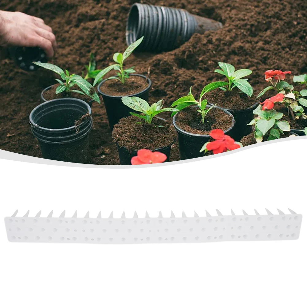 Anti-bird Thorn Bird Spikes Cat Deterrent Control PP Against Birds Bird Thorn Pigeon Deterrent 1pc 45*4.5*3.7cm
Anti-bird Thorn Bird Spikes Cat Deterrent Control PP Against Birds Bird Thorn Pigeon Deterrent 1pc 45*4.5*3.7cm