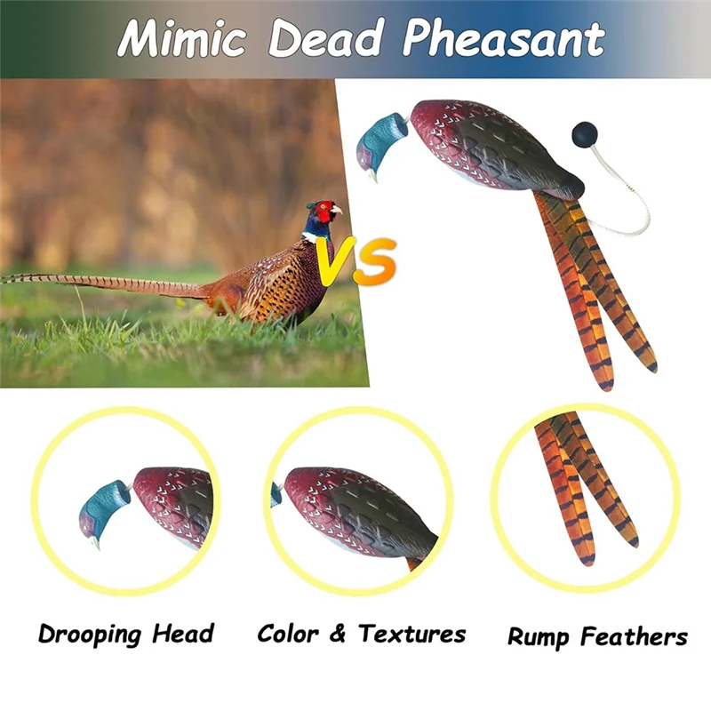 AU13-2 Pcs Pheasant Dummy Bumper For Hunting Retriever Dog Training, Hunting Duck Recognition Trainers
AU13-2 Pcs Pheasant Dummy Bumper For Hunting Retriever Dog Training, Hunting Duck Recognition Trainers