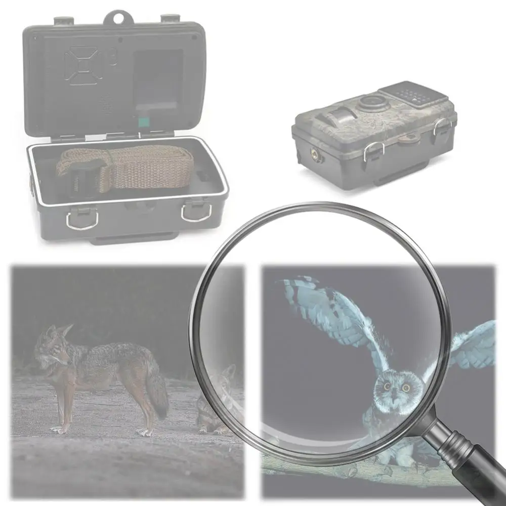 Hunting Camera Waterproof Infrared Night Vision Security Cam Motion Activated Animal Observation Camera for Scouting Hunting
Hunting Camera Waterproof Infrared Night Vision Security Cam Motion Activated Animal Observation Camera for Scouting Hunting