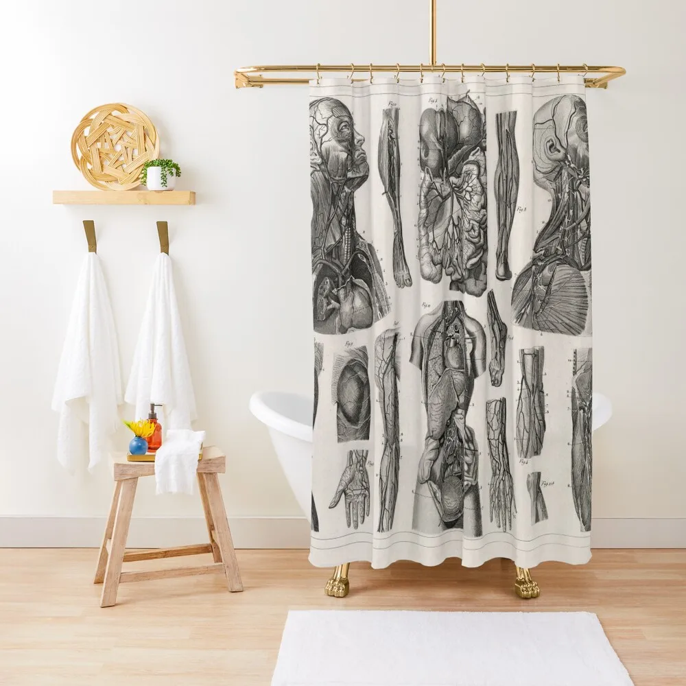 1857 Diagram Anatomy including the Vascular System Shower Curtain Anime Bathroom Waterproof Shower Curtain
1857 Diagram Anatomy including the Vascular System Shower Curtain Anime Bathroom Waterproof Shower Curtain