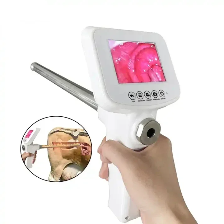 Hot SalesBovine Portable Cattle Cow Visual Insemination G,un Veterinary Equipment Bull Artificial Device Cam,era Video Inseminat
Hot SalesBovine Portable Cattle Cow Visual Insemination G,un Veterinary Equipment Bull Artificial Device Cam,era Video Inseminat