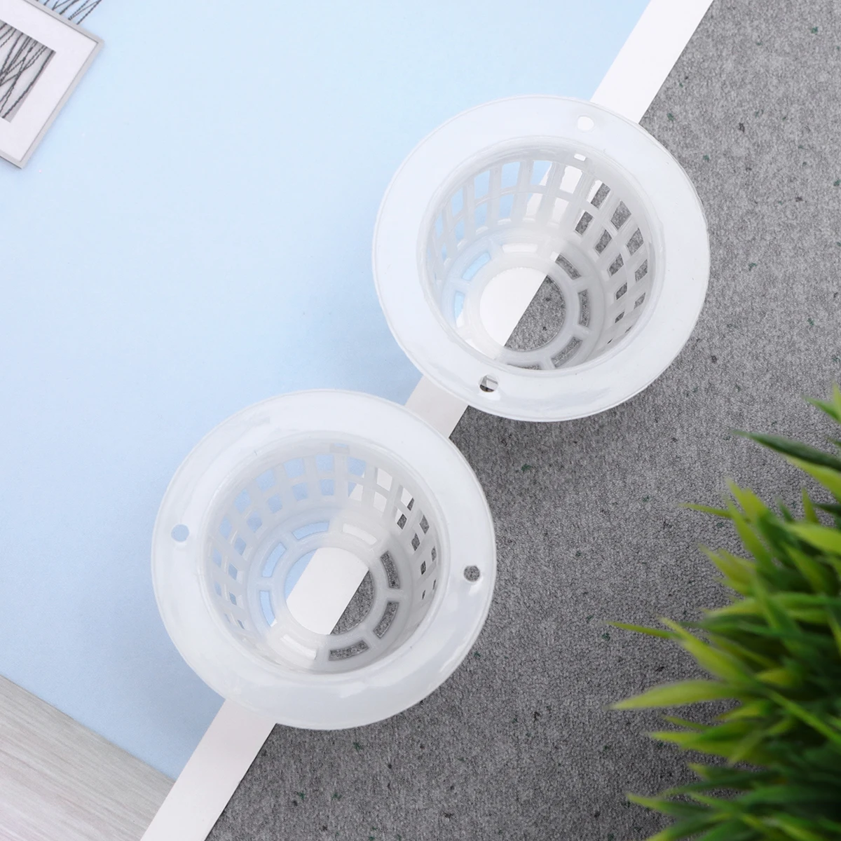 50pcs 42Mm Net Cup For Hydroponics Aquaponics Orchids Slotted Mesh Drainage Plastic Soilless Culture Pots White Garden Supplies 
50pcs 42Mm Net Cup For Hydroponics Aquaponics Orchids Slotted Mesh Drainage Plastic Soilless Culture Pots White Garden Supplies