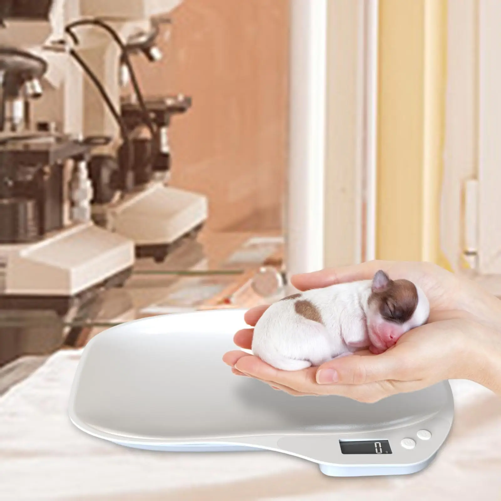 Digital Pet Scale Weighing Tray Home Use Multifunctional Tool for Dog Cat Easy to Use Kitchen Scale Electronic Food Weighing
Digital Pet Scale Weighing Tray Home Use Multifunctional Tool for Dog Cat Easy to Use Kitchen Scale Electronic Food Weighing