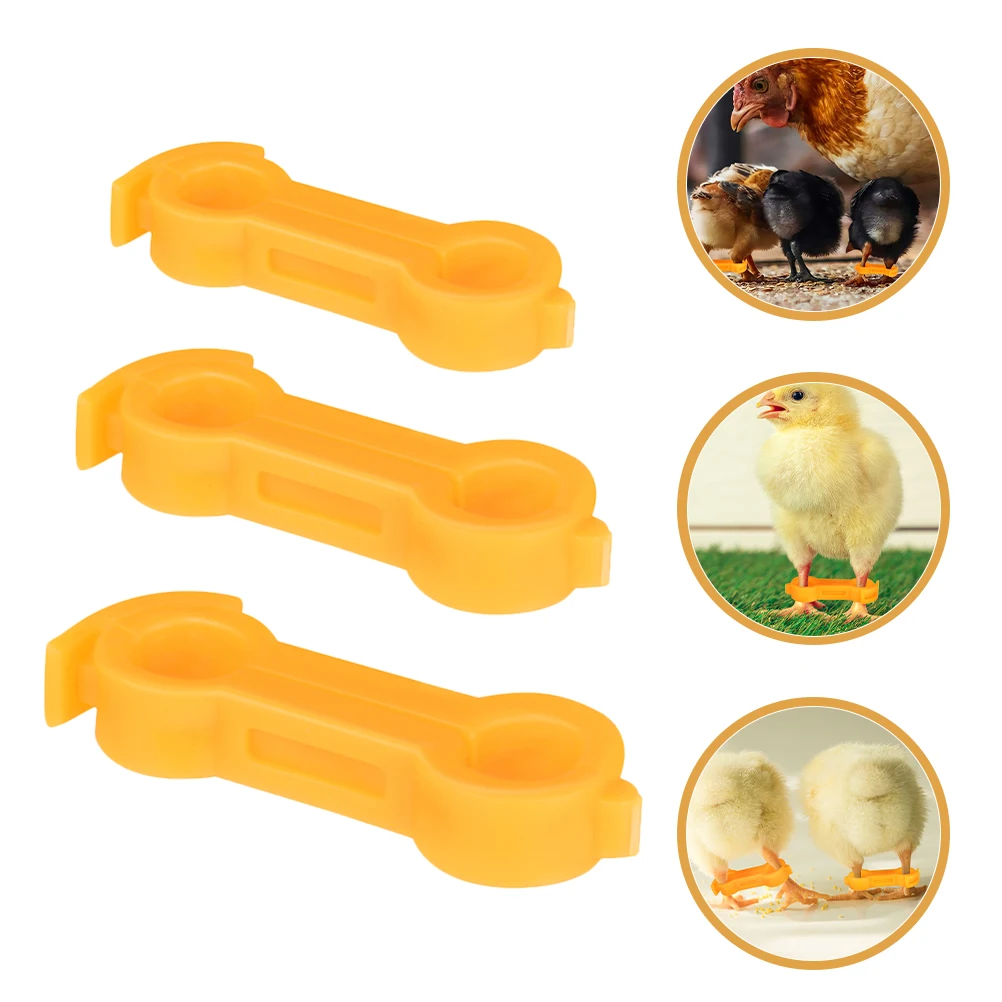 15pcs Chick Splay Leg Correction Brace Pvc Reusable Leg Hobbles For Baby Chicks Healthy Growth Durable Poultry Braces Quails
15pcs Chick Splay Leg Correction Brace Pvc Reusable Leg Hobbles For Baby Chicks Healthy Growth Durable Poultry Braces Quails