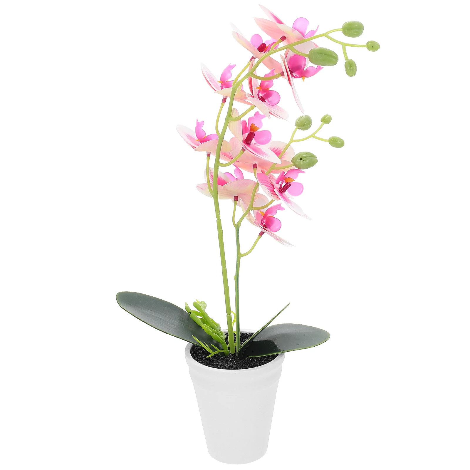 Fake Potted Plant Artificial Flower Bonsai Faux Plants Indoor Tree Emulation Phalaenopsis
Fake Potted Plant Artificial Flower Bonsai Faux Plants Indoor Tree Emulation Phalaenopsis