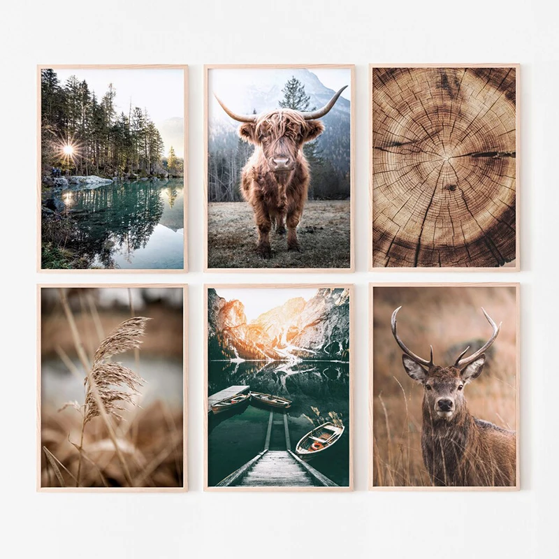 Rustic Highland Cow and Forest Landscape Photography Giclee Print Wall Posters Canvas Paintings Mural Pictures for Room Decor
Rustic Highland Cow and Forest Landscape Photography Giclee Print Wall Posters Canvas Paintings Mural Pictures for Room Decor
