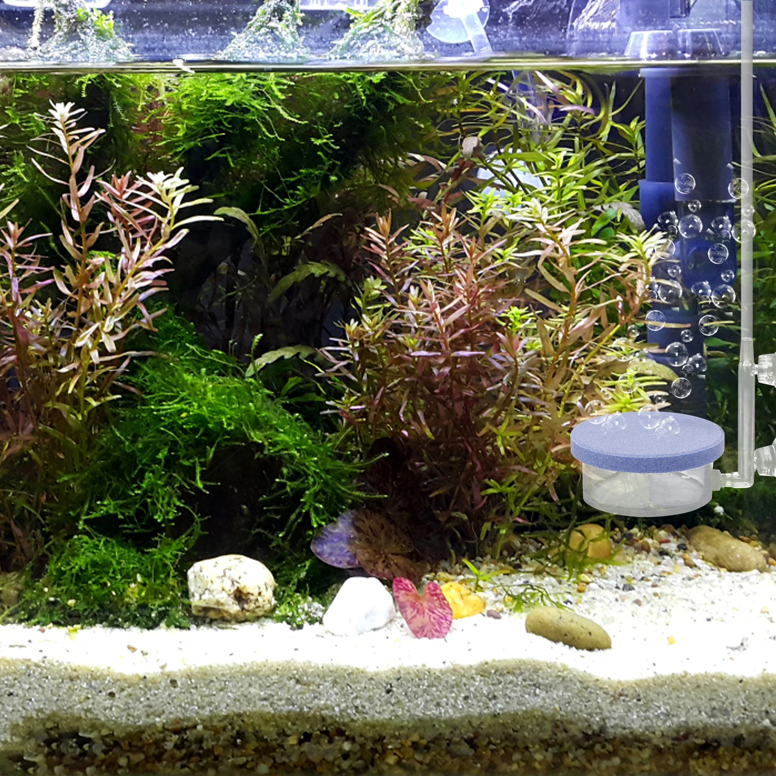Aquarium Oxygen Diffuser Fish Tank Air Stone Co2 Fine Bubbles Compact Wear-Resistant Transparent Fish Tanks Air Pump
Aquarium Oxygen Diffuser Fish Tank Air Stone Co2 Fine Bubbles Compact Wear-Resistant Transparent Fish Tanks Air Pump
