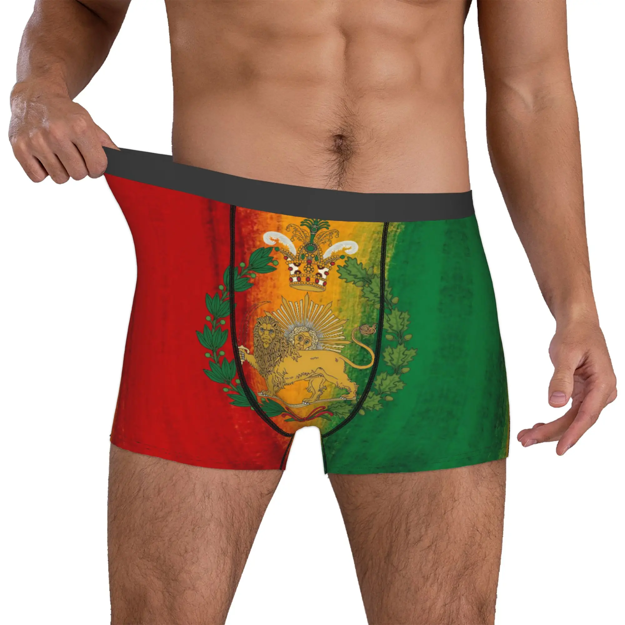 Custom Male Novelty Iran Flag Persian Winged Lion Underwear Boxer Briefs Breathable Shorts Panties Underpants
Custom Male Novelty Iran Flag Persian Winged Lion Underwear Boxer Briefs Breathable Shorts Panties Underpants