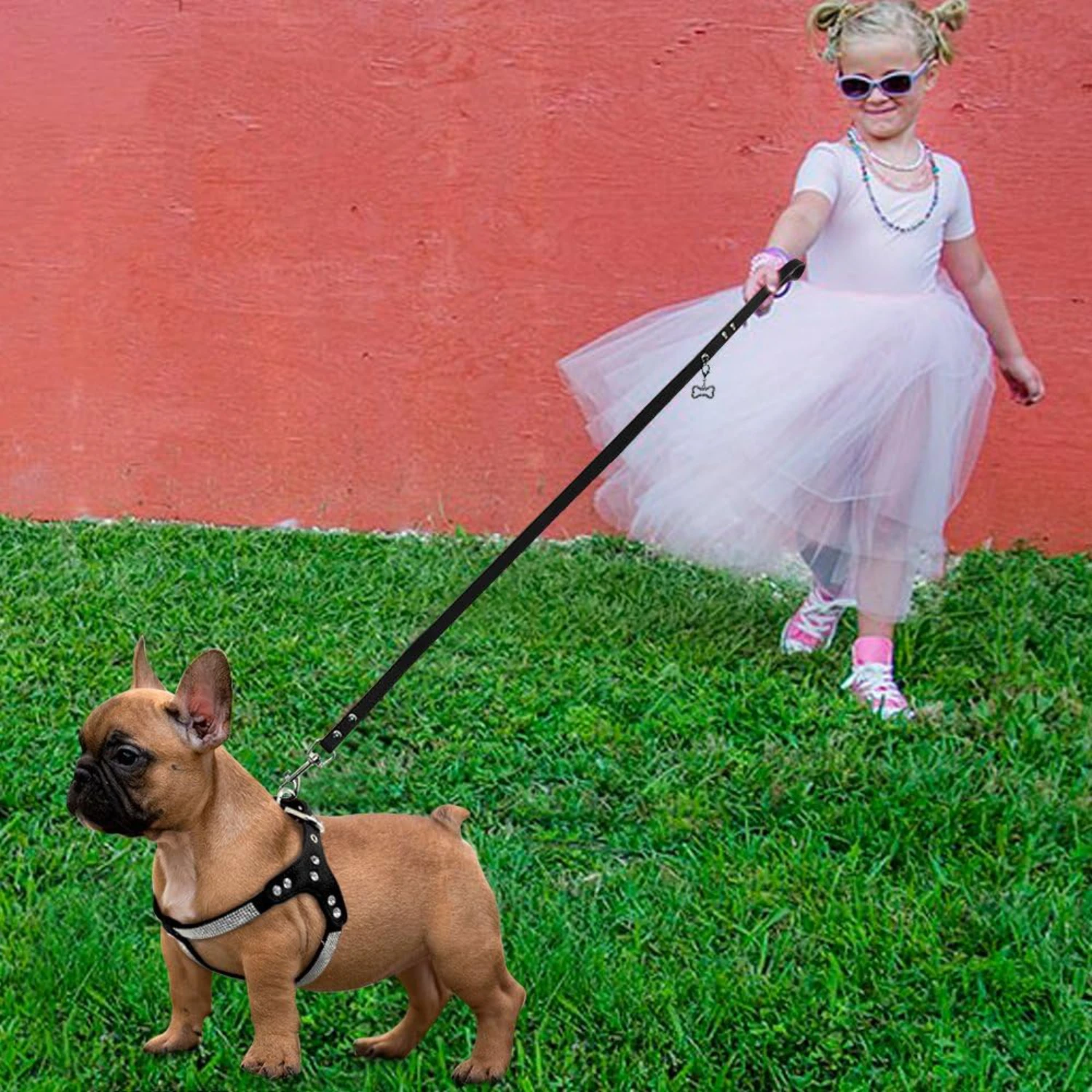 Crystal Soft Suede Leather Dog Harness & Leash Set - Stylish Red Vest for Small Medium Large Dogs - Adjustable Chest 17-20" - Id
Crystal Soft Suede Leather Dog Harness & Leash Set - Stylish Red Vest for Small Medium Large Dogs - Adjustable Chest 17-20" - Id