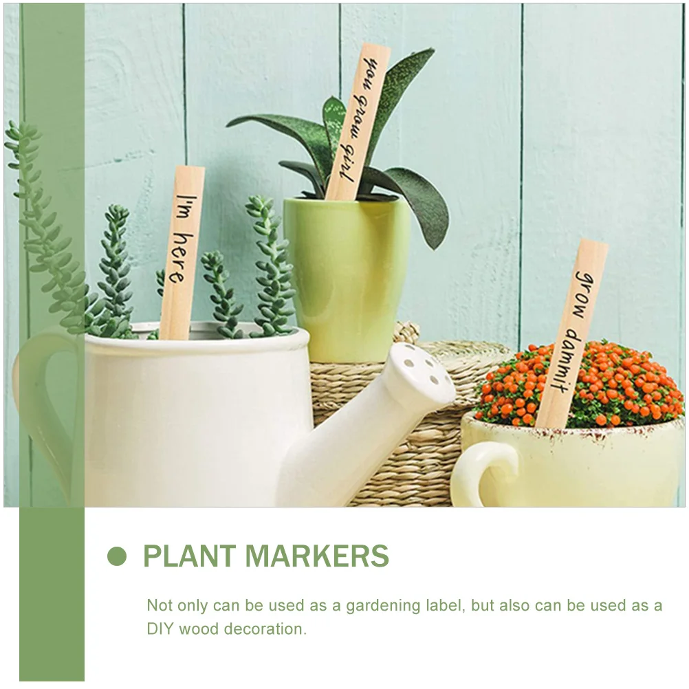 50 Pcs Plant Labels Wooden Garden Markers for Nursery Plants Easy Durable Modern DIY Decoration Farming Art Accessories
50 Pcs Plant Labels Wooden Garden Markers for Nursery Plants Easy Durable Modern DIY Decoration Farming Art Accessories