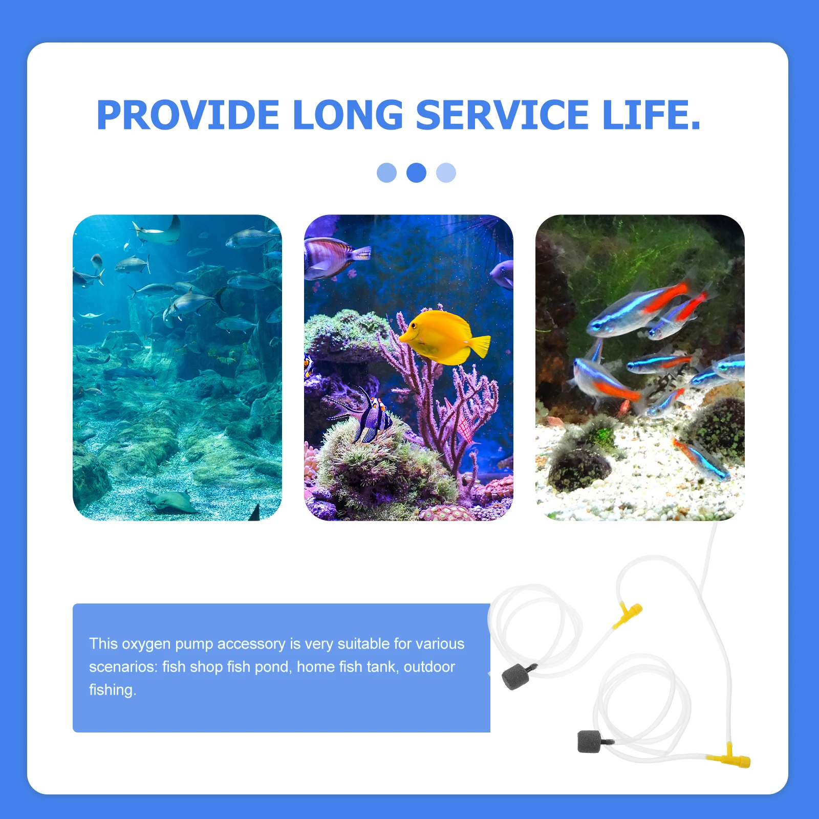 1 Set Air Pumps Accessories Aquarium Connectors Valves Tubes Fish Tank Oxygen Pump Fittings Portable Tubing Aquarium Air Hose
1 Set Air Pumps Accessories Aquarium Connectors Valves Tubes Fish Tank Oxygen Pump Fittings Portable Tubing Aquarium Air Hose