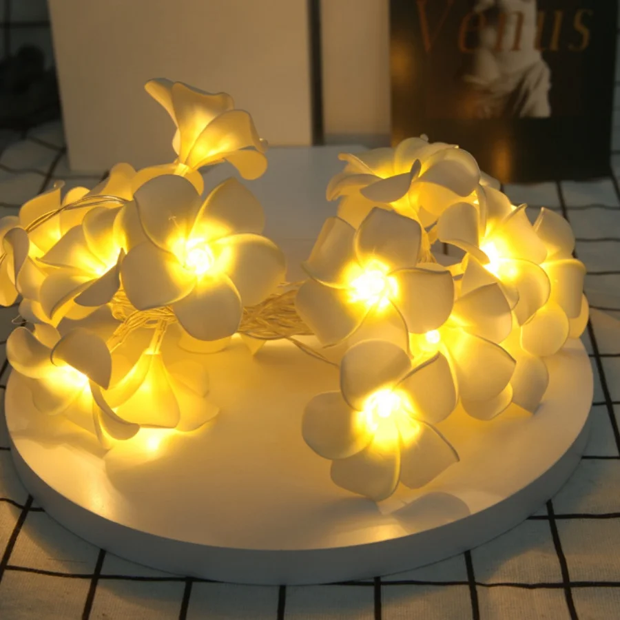 1PC Plumeria Flower String Lights, 20LED Battery Operated Fairy Lights for Bedroom, Party, Wedding, Patio, Home Decor
1PC Plumeria Flower String Lights, 20LED Battery Operated Fairy Lights for Bedroom, Party, Wedding, Patio, Home Decor