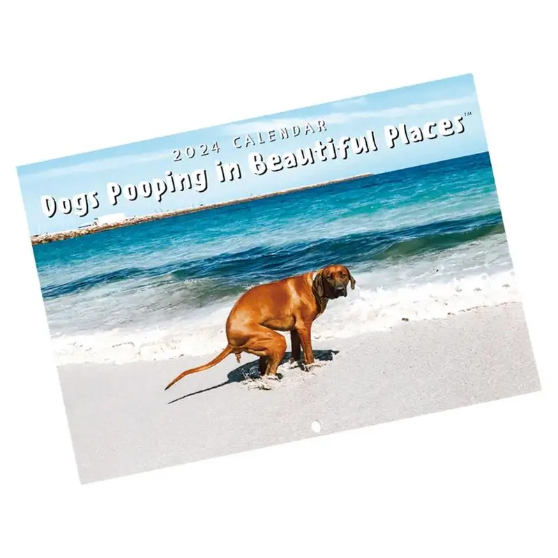 Wall Calendar 2024 Monthly Wall 2024 Calendar Dog Pooping Decorative Funny Paper Calendar Hangable For Living Room Hostel
Wall Calendar 2024 Monthly Wall 2024 Calendar Dog Pooping Decorative Funny Paper Calendar Hangable For Living Room Hostel