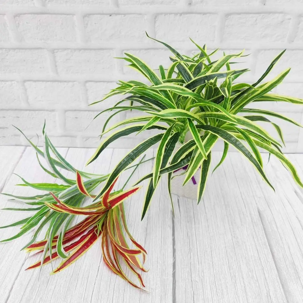 Plastic Artificial Chlorophytum Plants Realistic Green Plants Silk Chlorophytum Branch Handmade Elegant Simulation Chlorophytum
Plastic Artificial Chlorophytum Plants Realistic Green Plants Silk Chlorophytum Branch Handmade Elegant Simulation Chlorophytum