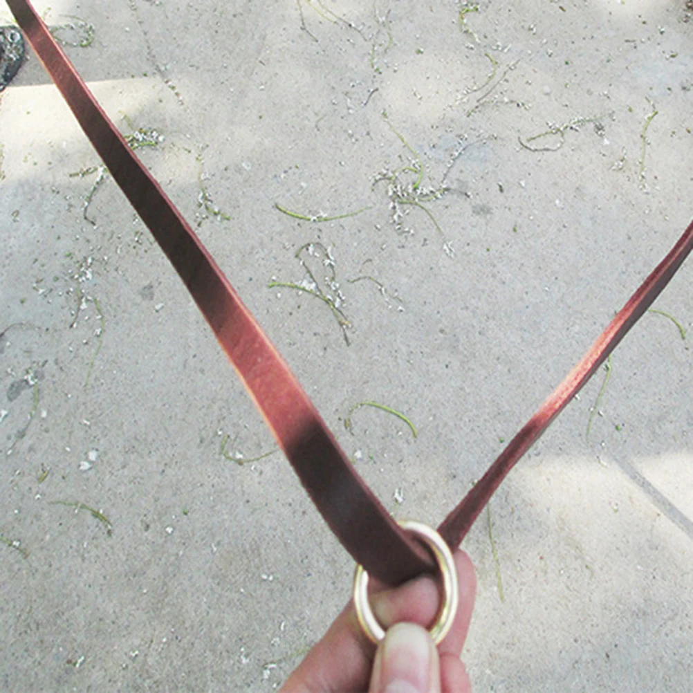 1pc Premium Dog Leash 2.3M Durable Adjustable For Small Medium Breeds Rust Corrosion Resistant Hardware Walking Jogging
1pc Premium Dog Leash 2.3M Durable Adjustable For Small Medium Breeds Rust Corrosion Resistant Hardware Walking Jogging