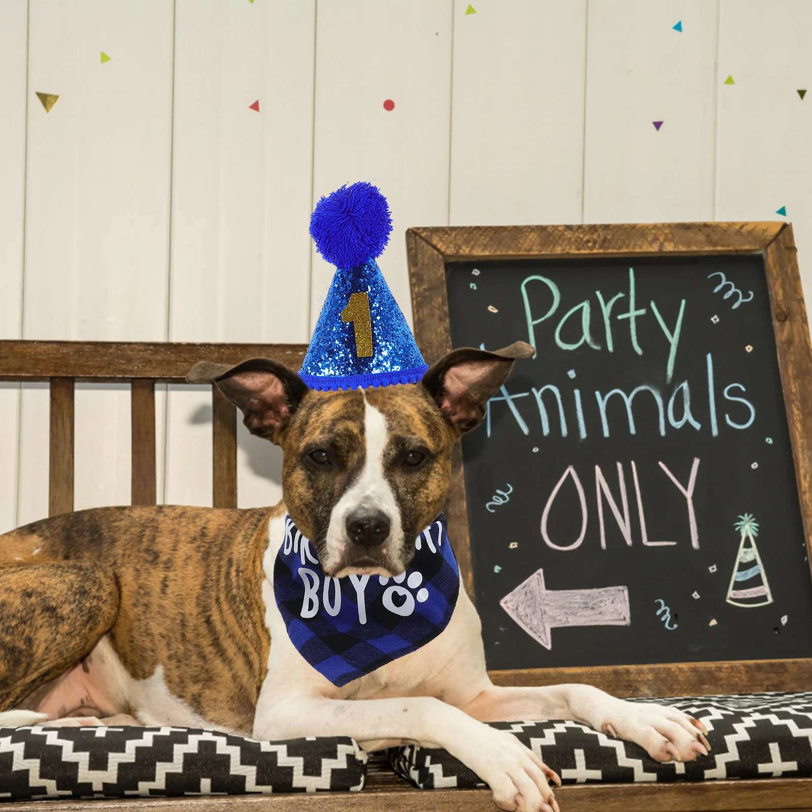 1 set 1 Set Dog Birthday Hat Bib Bandana Pet Costume Adjustable Bow Tie Bright Color Puppy Cat Party Wearable Accessory Supplies 
1 set 1 Set Dog Birthday Hat Bib Bandana Pet Costume Adjustable Bow Tie Bright Color Puppy Cat Party Wearable Accessory Supplies
