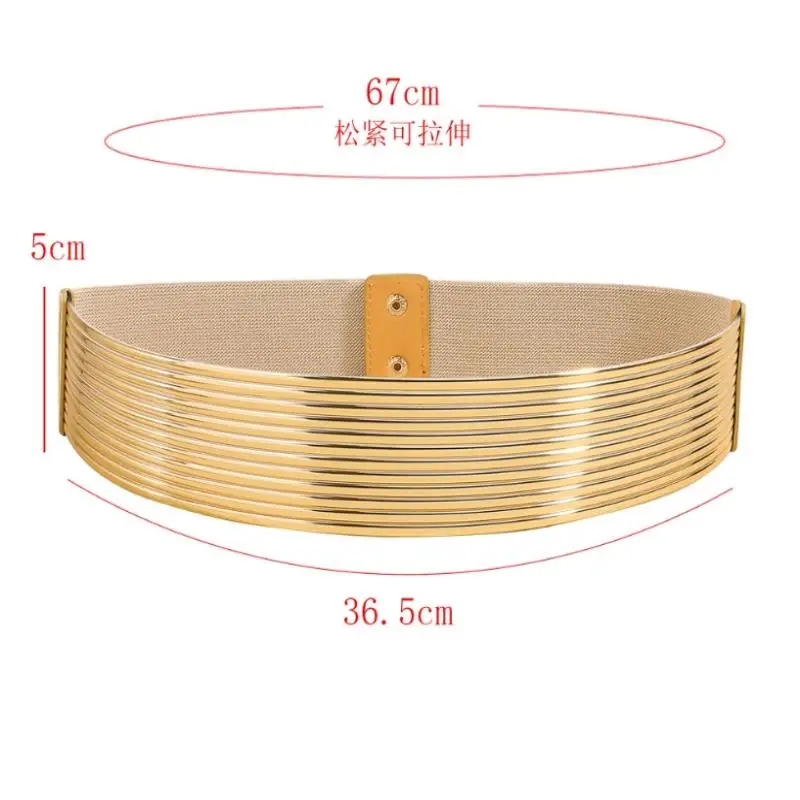 Shiny Gold Women Elastic Waist Belt Long Silver Corset Punk Belt Fashion Accessory for Elegant Dresses and Casual Wear
Shiny Gold Women Elastic Waist Belt Long Silver Corset Punk Belt Fashion Accessory for Elegant Dresses and Casual Wear