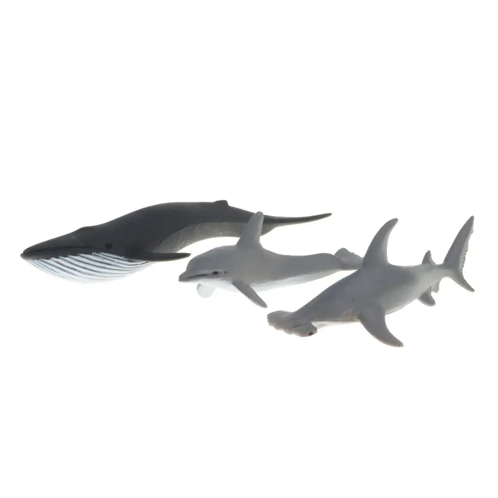 Reptile Animals Figures and Marine Creature Toy Set Kids Educational Toys for Party Bag Favors Learning
Reptile Animals Figures and Marine Creature Toy Set Kids Educational Toys for Party Bag Favors Learning