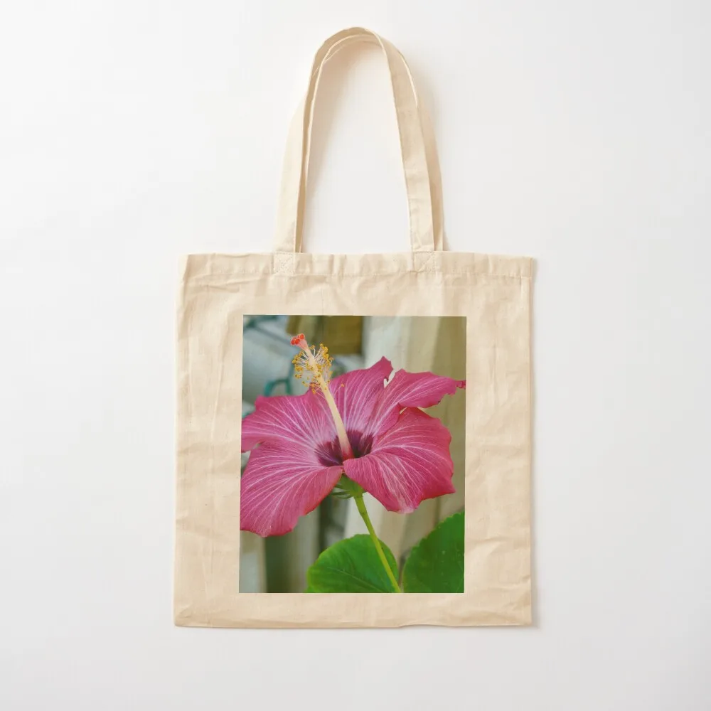 Pink Hibiscus Tote Bag Shopper handbag university shopper bag Canvas Tote Bag
Pink Hibiscus Tote Bag Shopper handbag university shopper bag Canvas Tote Bag