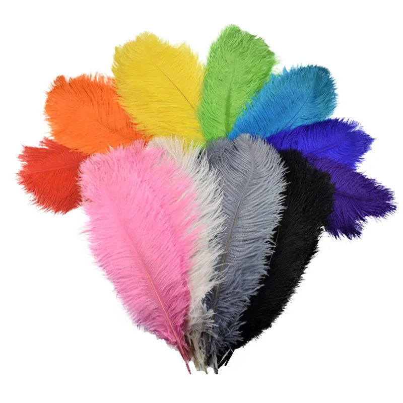 10Pcs/Lot 45-50cm Ostrich Feathers for Crafts Wedding Party Decoration Handicraft Accessories Table Centerpieces Diy Large Plume
10Pcs/Lot 45-50cm Ostrich Feathers for Crafts Wedding Party Decoration Handicraft Accessories Table Centerpieces Diy Large Plume