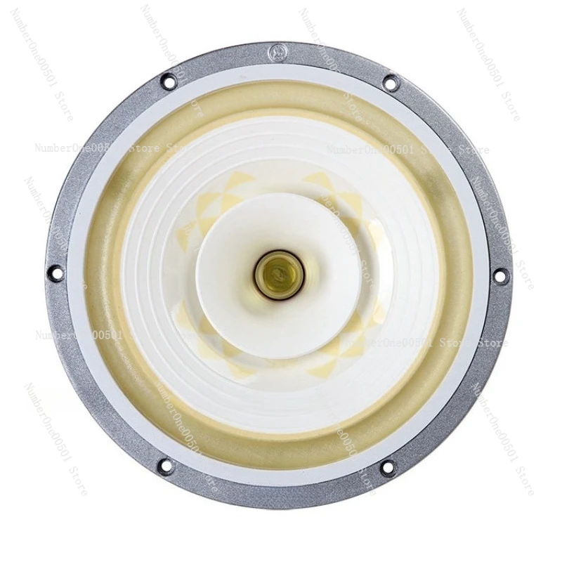 Crystal-10 10 Inch Full Range Speaker 2024 New Model HiFi Full Range Driver Unit
Crystal-10 10 Inch Full Range Speaker 2024 New Model HiFi Full Range Driver Unit