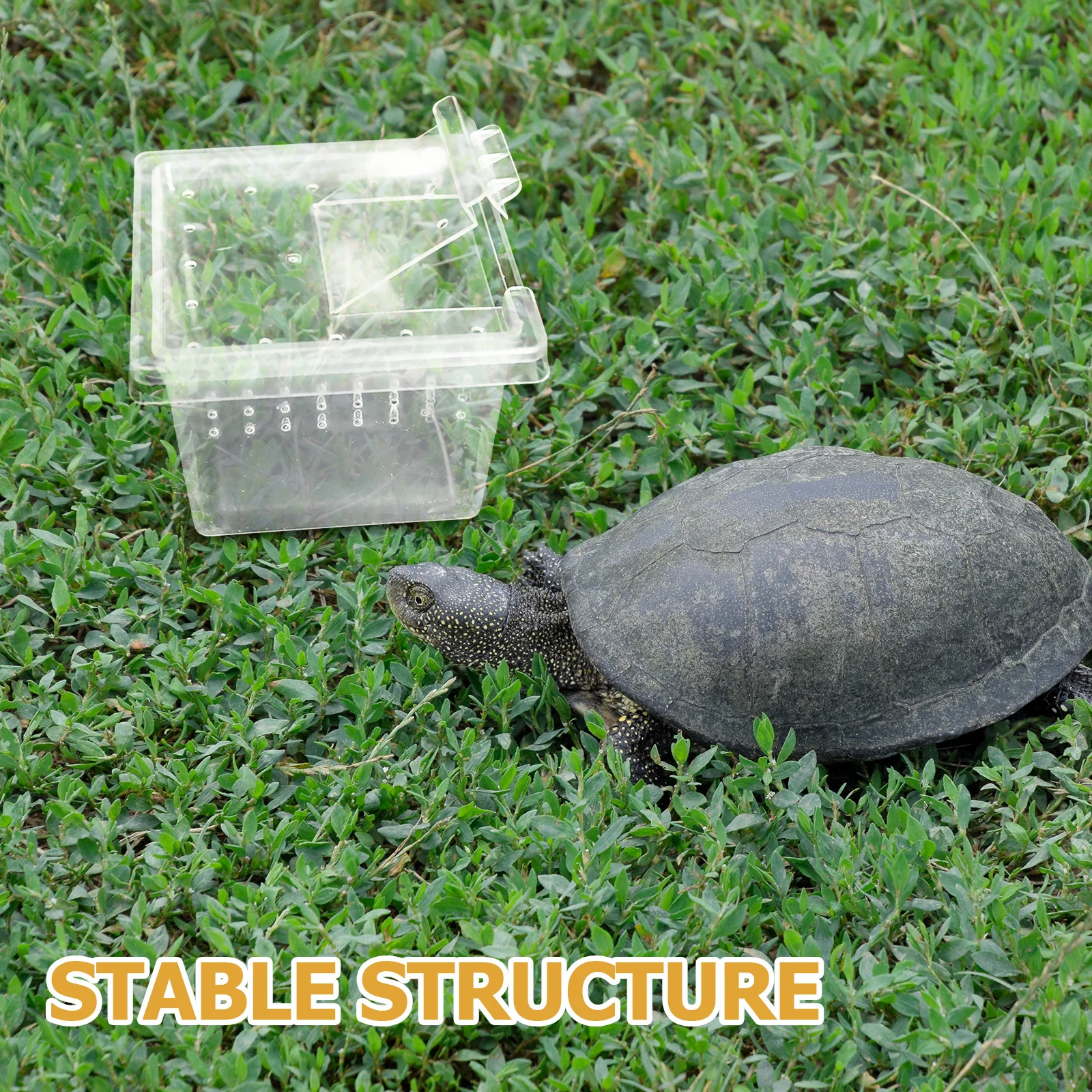 30Pcs Reptile Breeding Box Clear Plastic Terrarium Tank Natural Sunbathing Platform Small Animal Habitat Cage Turtle Gecko
30Pcs Reptile Breeding Box Clear Plastic Terrarium Tank Natural Sunbathing Platform Small Animal Habitat Cage Turtle Gecko