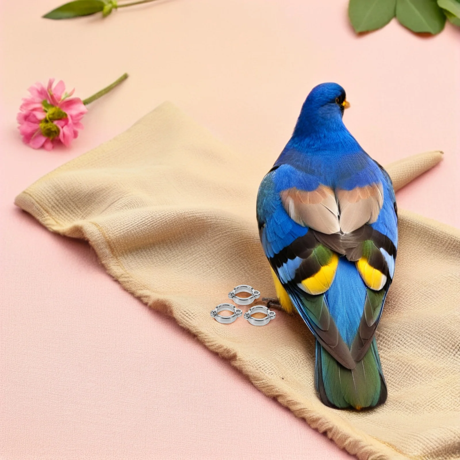 15pcs Pet Bird Leg Rings: Metal Open Clip-On Bands For Parrots Cockatiels Budgies Reusable Identification Outdoor Training
15pcs Pet Bird Leg Rings: Metal Open Clip-On Bands For Parrots Cockatiels Budgies Reusable Identification Outdoor Training