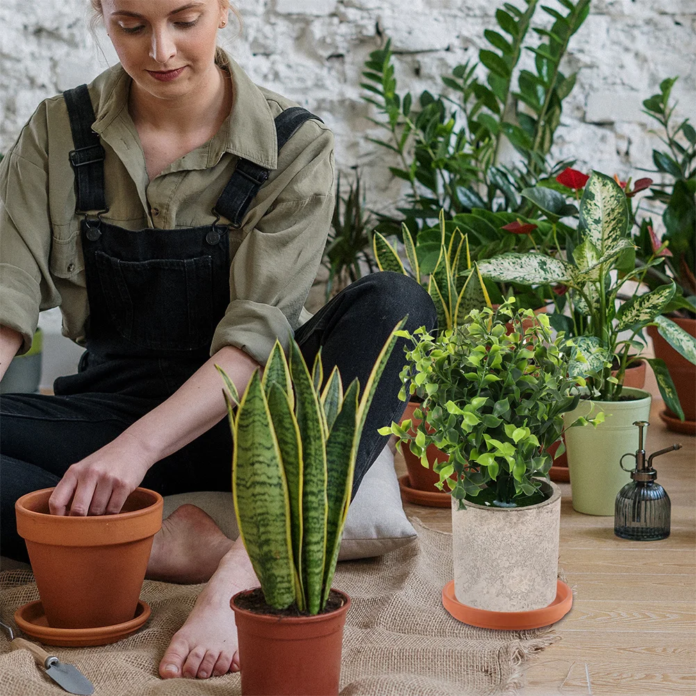 5Pcs Pottery Plant Saucer Reusable Flowerpot Plate Non Slip Base Keeps Floor Clean Suitable for Indoor Outdoor Gardening
5Pcs Pottery Plant Saucer Reusable Flowerpot Plate Non Slip Base Keeps Floor Clean Suitable for Indoor Outdoor Gardening