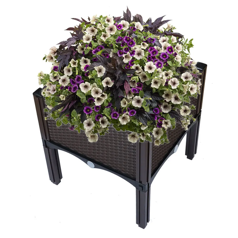 Raised Garden Bed Outdoor Elevated Planter Box Herbs Flowers Plants Vegetables
Raised Garden Bed Outdoor Elevated Planter Box Herbs Flowers Plants Vegetables