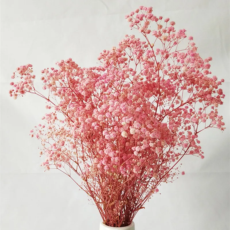 white、pink、red、green、blue、yellow gypsophila dried flower natural bouquets real flower home furnishing living room decoration
white、pink、red、green、blue、yellow gypsophila dried flower natural bouquets real flower home furnishing living room decoration