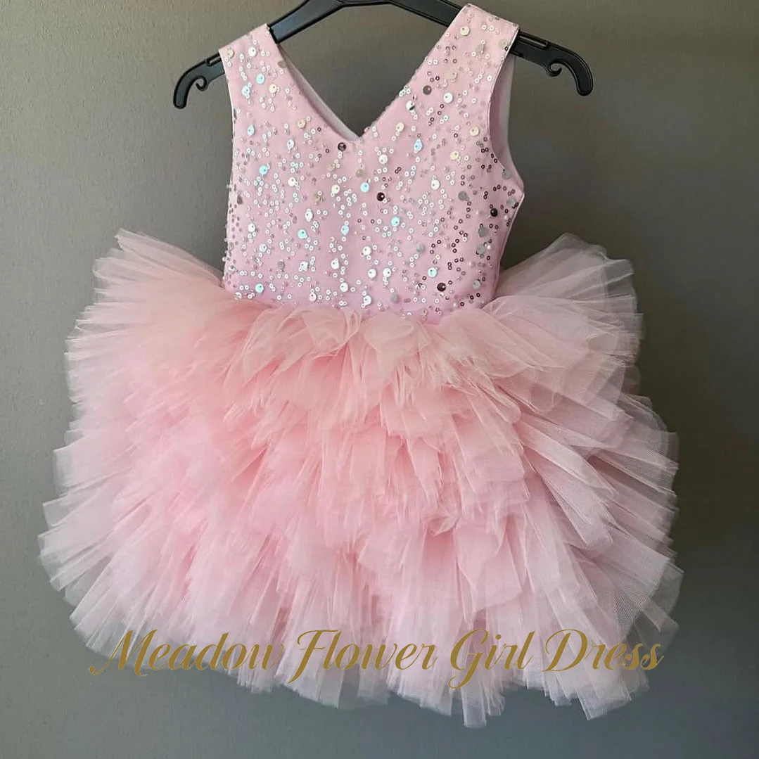 Meadow Blush Pink Flower Girl Dress Sleeveless V-Neck Tulle Kids Birthday Party Dress with Sequin Bodice Tutu Fluffy Prom Gown
Meadow Blush Pink Flower Girl Dress Sleeveless V-Neck Tulle Kids Birthday Party Dress with Sequin Bodice Tutu Fluffy Prom Gown