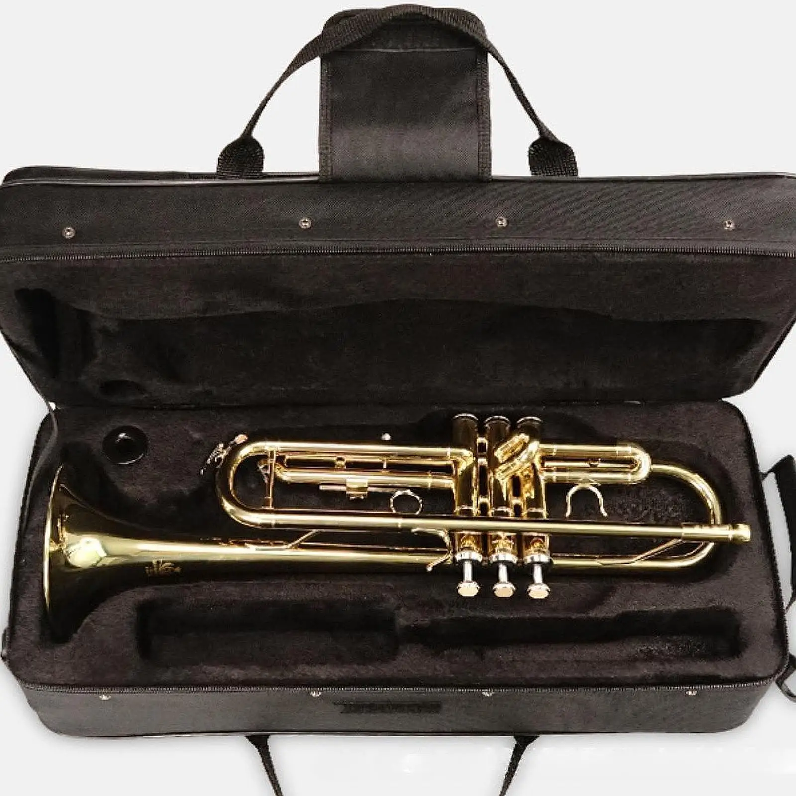 Trumpet Bag 600D Canvas Water Resistant Portable with Sheet Music Pocket
Trumpet Bag 600D Canvas Water Resistant Portable with Sheet Music Pocket
