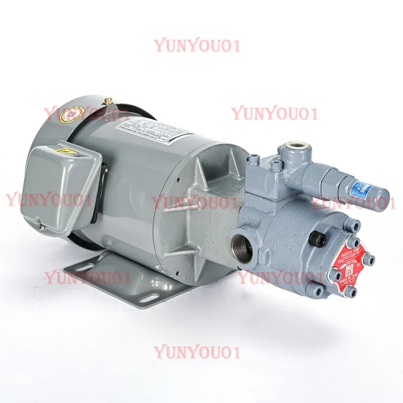 TOP Циклоидный насос TOP-204HBVB Масляный насос TOP-204HB Прямые продажи с фабрики
TOP Циклоидный насос TOP-204HBVB Масляный насос TOP-204HB Прямые продажи с фабрики