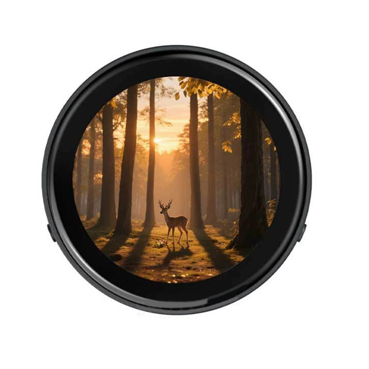 2025+ for XiaoZhi AI Voice Chat Robot BOX ESP32 C6 Development Board 1.43inch Round LCD Touch Screen A
2025+ for XiaoZhi AI Voice Chat Robot BOX ESP32 C6 Development Board 1.43inch Round LCD Touch Screen A