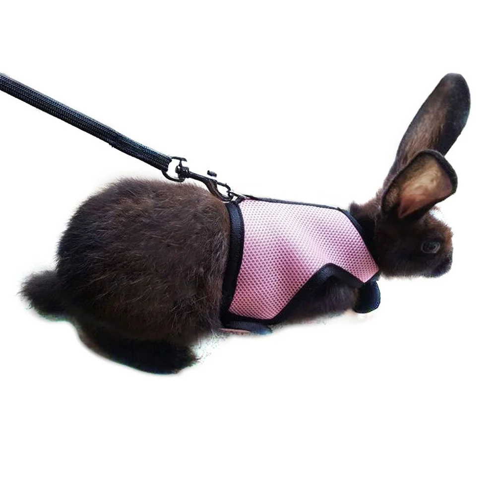 Adjustable Rabbit Harness and Leash Set for Small Bunnies 4-15Lbs Padded for Comfort Strong Nylon Snap Buckle 120Cm Elastic Lead
Adjustable Rabbit Harness and Leash Set for Small Bunnies 4-15Lbs Padded for Comfort Strong Nylon Snap Buckle 120Cm Elastic Lead