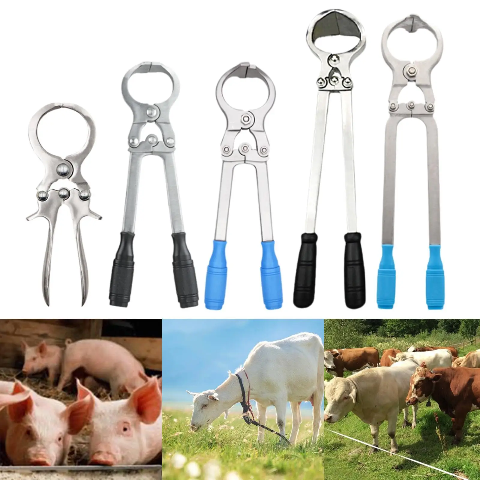Livestock Castration Pliers Portable Ergonomic Comfortable Grip Castration Bander for Veterinarians Household Farm Educational
Livestock Castration Pliers Portable Ergonomic Comfortable Grip Castration Bander for Veterinarians Household Farm Educational